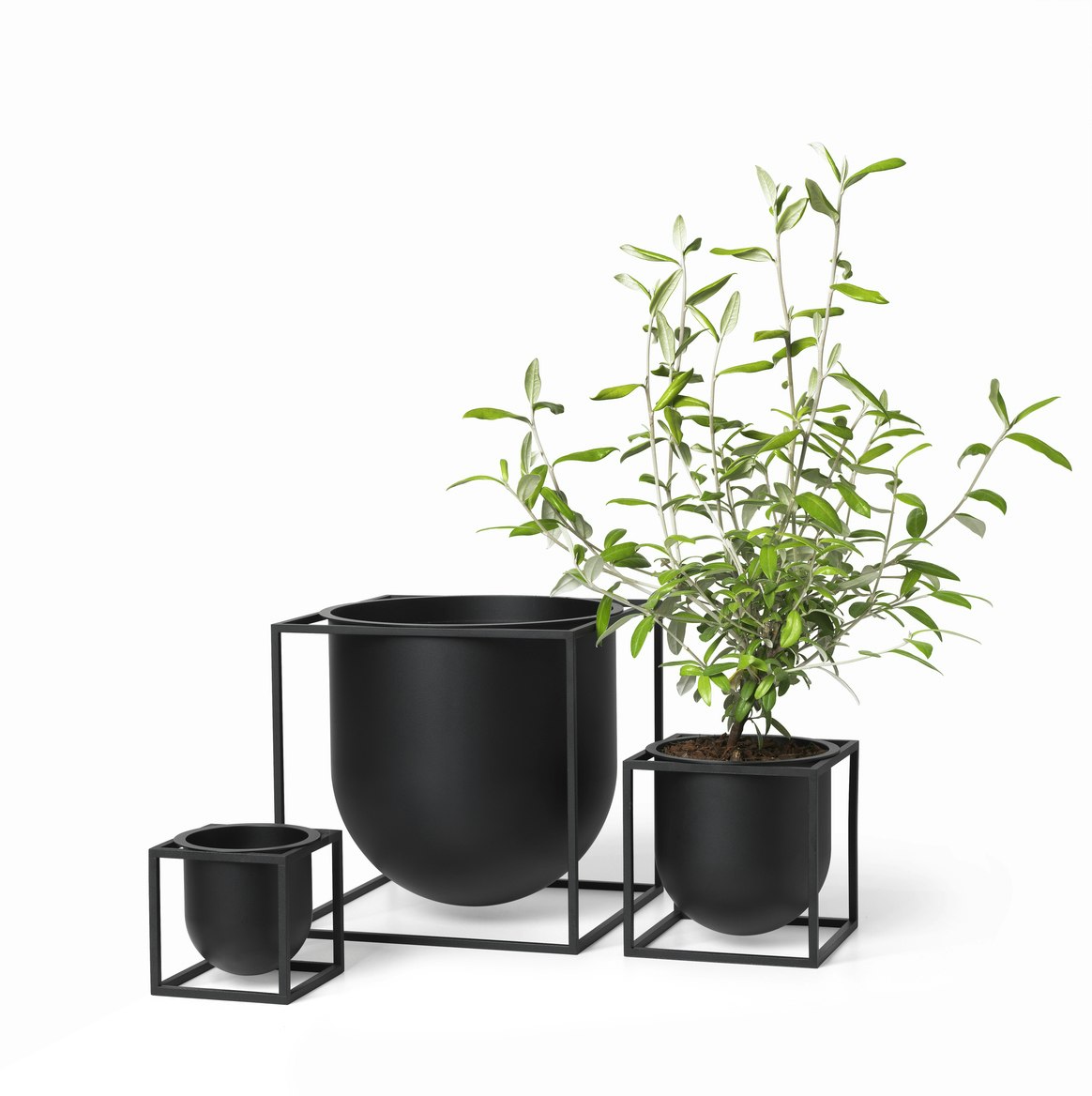 Kubus Flowerpot 23, Black from Audo Copenhagen | RoyalDesign